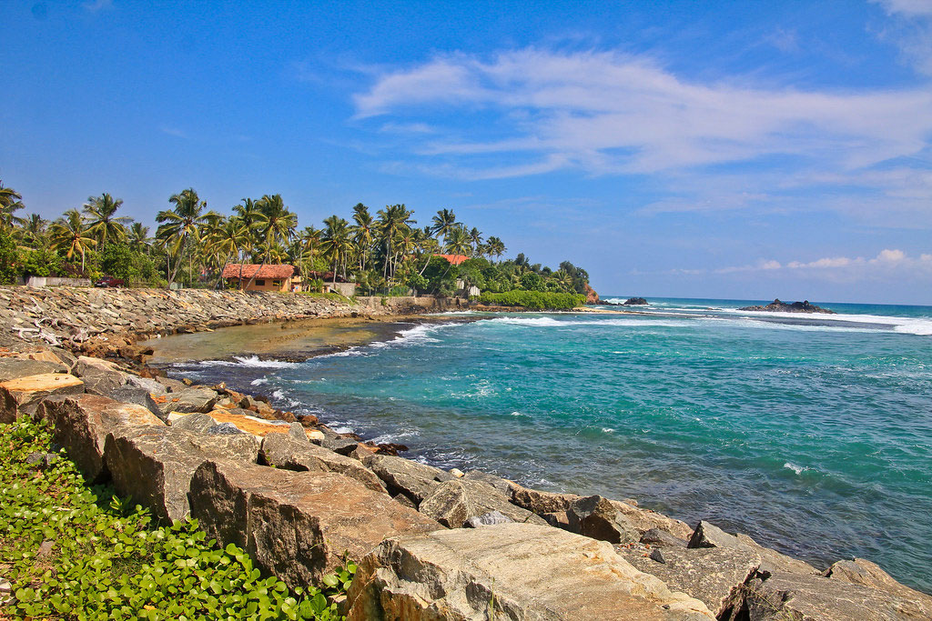 Mirissa Beach Sri Lanka - golden sands and palm trees at sunset